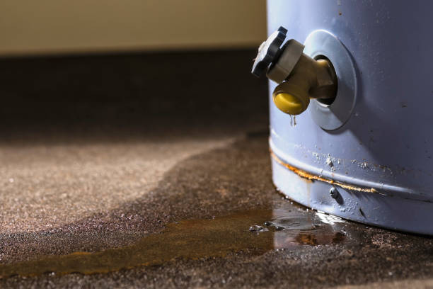 Best Water damage restoration near me  in Carrollton, AL