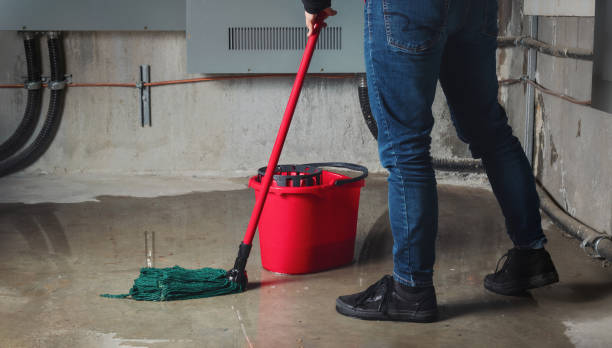 Best Fire Damage Restoration  in Carrollton, AL