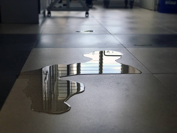 Best Water damage restoration near me  in Carrollton, AL