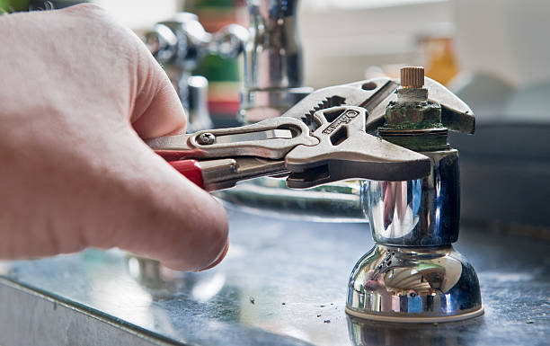 Best Water damage cleanup near me  in Carrollton, AL