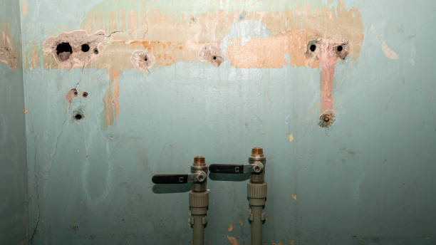 Best Emergency water damage restoration  in Carrollton, AL