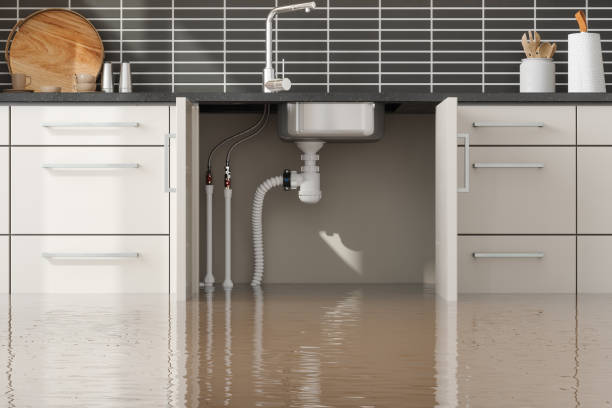 Carrollton, AL Water damage restoration Company