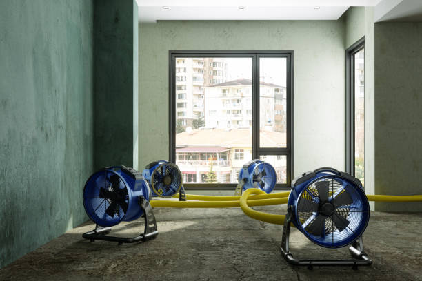 Best Sewage cleanup and water damage restoration  in Carrollton, AL