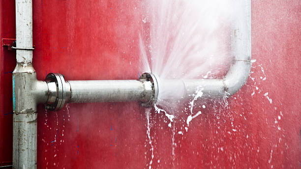 Best Residential water damage restoration  in Carrollton, AL