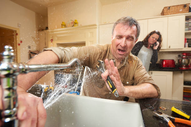 Best Mold removal after water damage  in Carrollton, AL